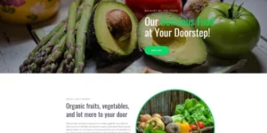 Ecolus Organic Food Delivery ECommerce Modern WordPress Elementor Theme WordPress Theme 1.2.3破解版主题