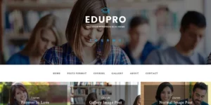EduPro Education Blog WordPress Theme 1.1.0破解版主题