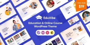 EduVibe Education Online Course WordPress Theme 1.0.10破解版主题