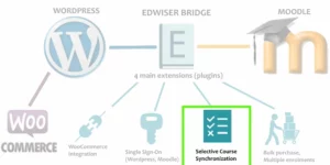 Edwiser Selective Synchronization 2.1.2破解版插件