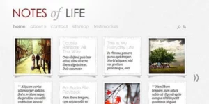 Elegant Themes DailyNotes WordPress Theme 5.8.13破解版主题