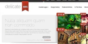 Elegant Themes DelicateNews 4.6.13破解版主题