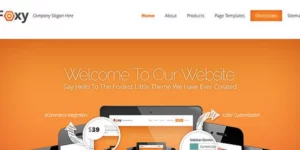 Elegant Themes Fable WordPress Theme 1.7.13破解版主题