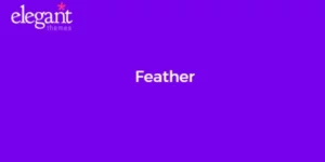 Elegant Themes Feather 3.2.13破解版主题