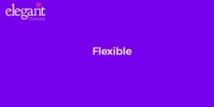 Elegant Themes Flexible 2.6.14破解版主题