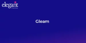 Elegant Themes Gleam 2.8.13破解版主题