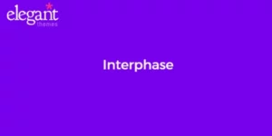 Elegant Themes Interphase 5.1.13破解版主题