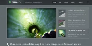 Elegant Themes Lumin 4.8.13破解版主题