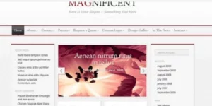 Elegant Themes Magnificent WordPress Theme 3.8.13破解版主题