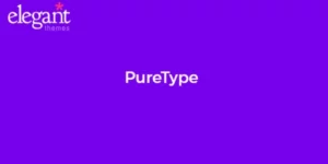 Elegant Themes PureType 6.3.13破解版主题