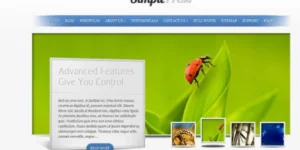 Elegant Themes SimplePress 5.5.14破解版主题
