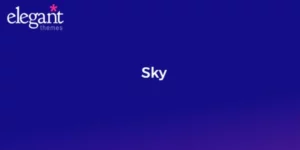 Elegant Themes Sky 2.9.13破解版主题