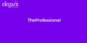 Elegant Themes TheProfessional 4.0.13破解版主题