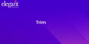 Elegant Themes Trim 2.3.13破解版主题