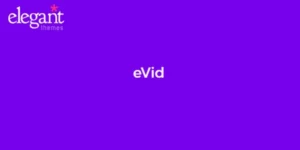 Elegant Themes eVid 4.6.13破解版主题
