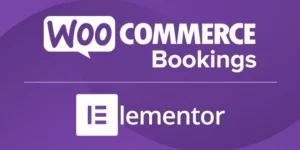 Elementor Connector for WooCommerce Bookings 1.8破解版插件