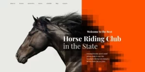 Elite Breed Equestrian Horse Riding Club WordPress Theme 1.0.0破解版主题