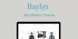 ElmaStudio Baylys WordPress Theme 1.1.6破解版主题