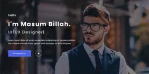 Emeli Personal Resume and Portfolio WordPress Theme 1.0.0破解版主题