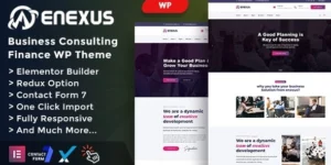 Enexus Consulting Business Elementor WordPress Theme 1.0破解版主题