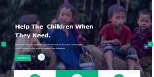 Enora Charity and Nonprofit WordPress Theme 1.0.0破解版主题