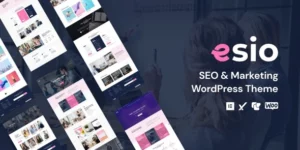 Esio SEO Marketing WordPress Theme 1.2破解版主题