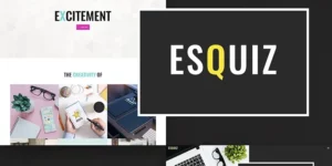 Esquiz Design Studio WordPress Theme 1.0.0破解版主题
