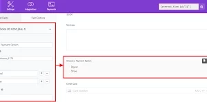 Everest Forms PayPal Standard 1.1.5破解版插件