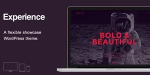 Experience Showcase WordPress Theme 1.2破解版主题