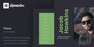 Fabius Resume WordPress Theme 1.0破解版主题