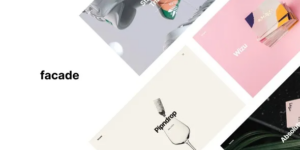 Facade Ajax Creative Portfolio Theme 2.0.3破解版主题