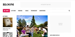 FameThemes Bloom WordPress Plugin 1.0.1破解版插件