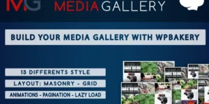 Fast Media Gallery For WPBakery WP Plugin 1.0破解版插件