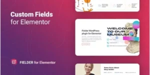 Fielder – WordPress Custom Fields for Elementor 1.1.1破解版插件