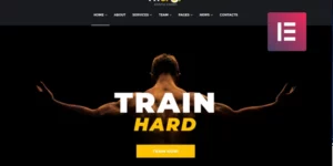 FitSpot Fitness Studio WordPress Elementor Theme WordPress Theme 1.0.0破解版主题