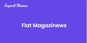 Flat Magazinews 113.6破解版主题