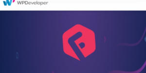 Flexia Pro – WPDeveloper 1.3.2破解版插件