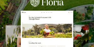 Floria 1.0.0破解版主题