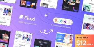 Fluxi SEO Digital Marketing Agency WordPress Theme 1.0.5破解版主题