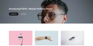 Folyo Modular Portfolio Theme 1.0破解版主题