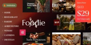 Foodie Food Wine Elementor Multiskin WordPress Theme 1.0破解版主题