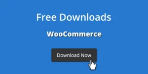 Free Downloads WooCommerce Pro 3.5.8.3破解版插件