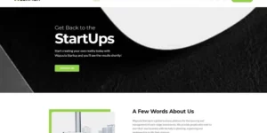 Freshmen Startup Company WordPress Elementor Theme WordPress Theme 1.0.1破解版主题