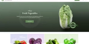 Frutta Verde – Responsive WooCommerce Shop Theme 1.0.3破解版插件