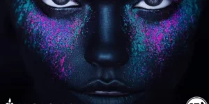 FullScreen Artist Photography WordPress Theme 2.8破解版主题