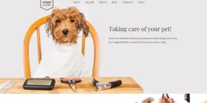Furry Pet Grooming WordPress Theme 1.0.0破解版主题