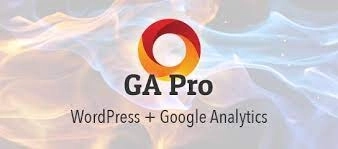 GA Google Analytics Pro 2.5.1破解版插件