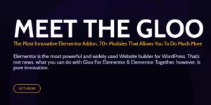 GLoo For Elementor 1.3.13破解版插件