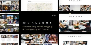 Gallery Blogging Envira WordPress Theme 1.0.5破解版主题