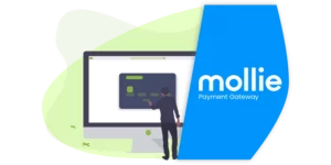 Get Paid Mollie Payment Gateway 2.0.3破解版插件